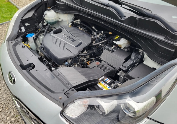 Kia Sportage cena 49500 przebieg: 122400, rok produkcji 2021 z Krosno małe 79